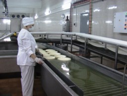 Производство сыров и сопутствующей продукции